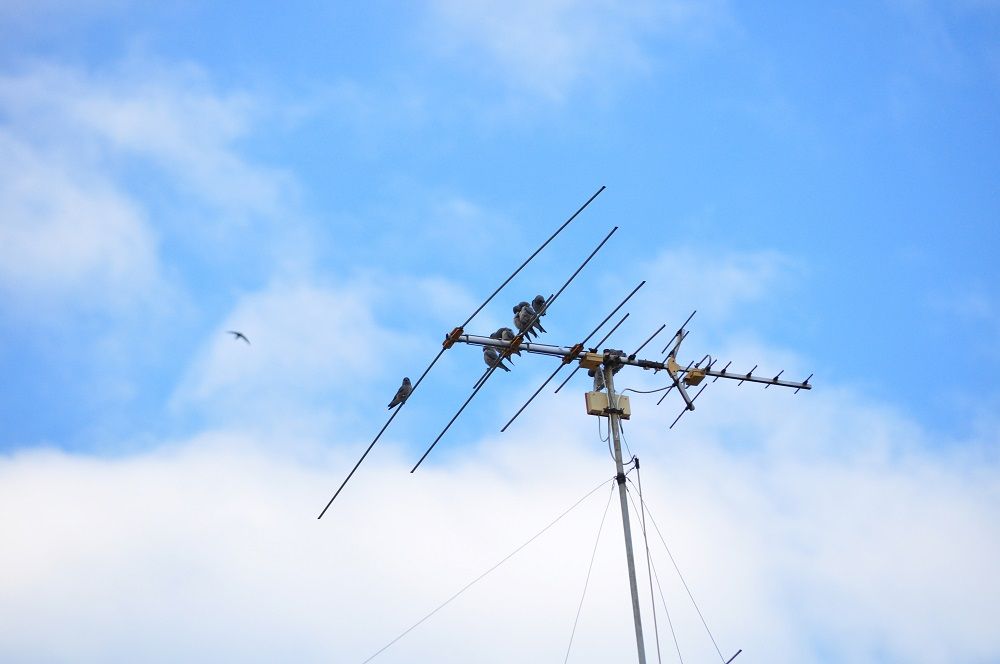 tall antenna tall antenna